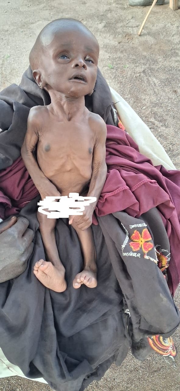 مجاعة